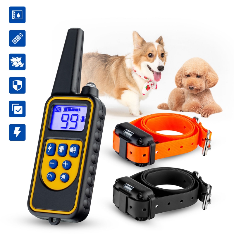dog training collars near me